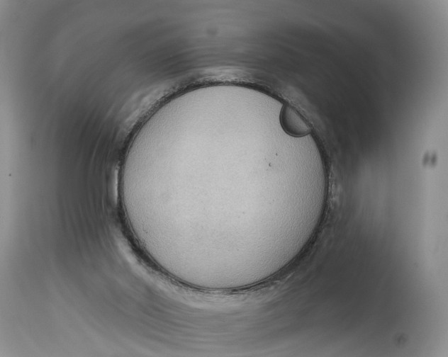 X0000114990014200911161524