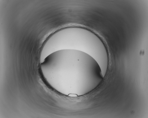 X0000114990015200911161524