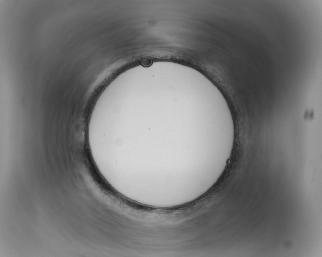 X0000114990016200911161524