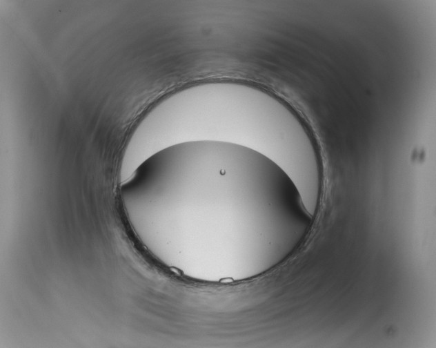 X0000114990017200911161524