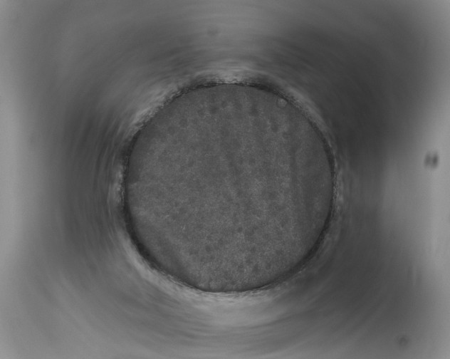 X0000114990018200911161524