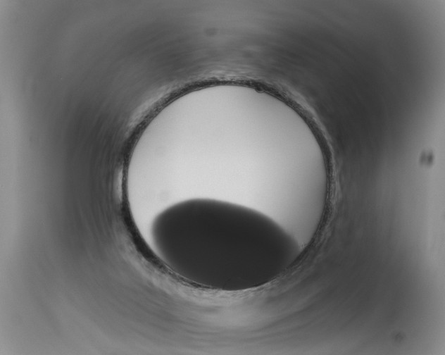 X0000114990019200911161524