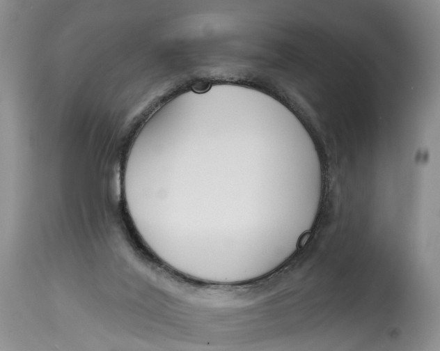 X0000114990020200911161524