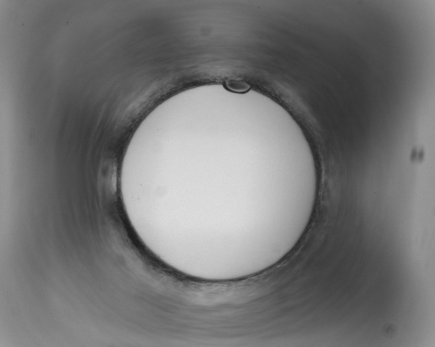 X0000114990021200911161524