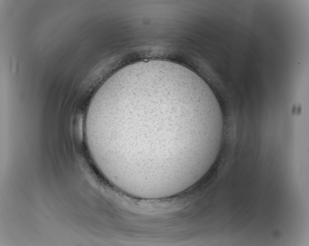 X0000114990022200911161524