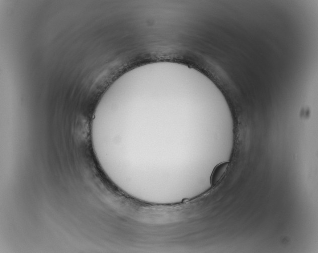 X0000114990025200911161524