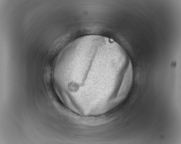 X0000114990026200911161524