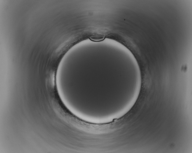 X0000114990027200911161524