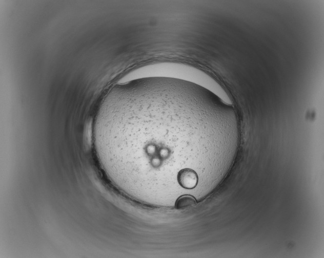 X0000114990028200911161524