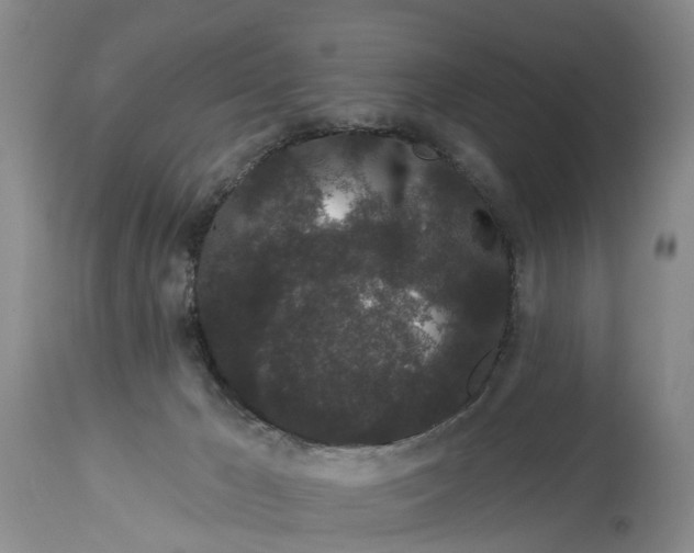 X0000114990029200911161524