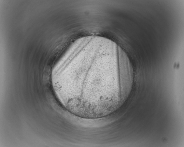 X0000114990030200911161524