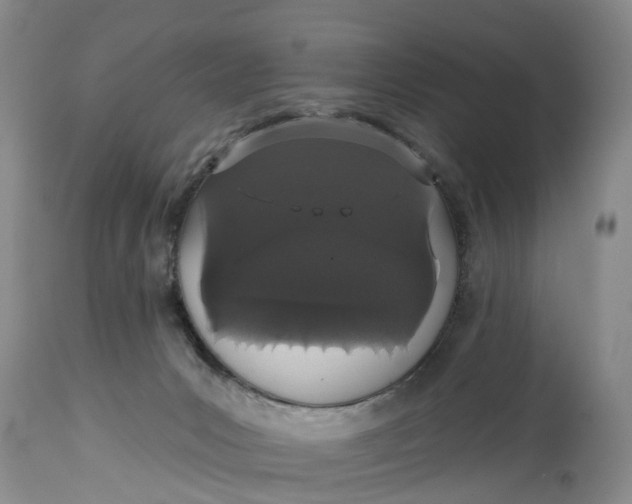 X0000114990031200911161524