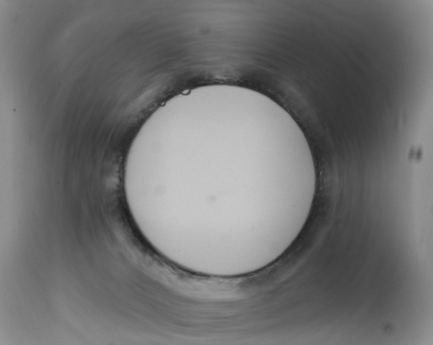 X0000114990032200911161524