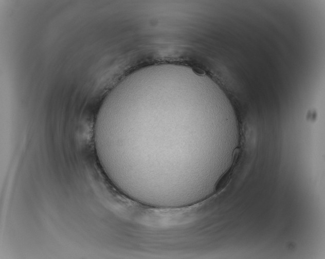 X0000114990033200911161524