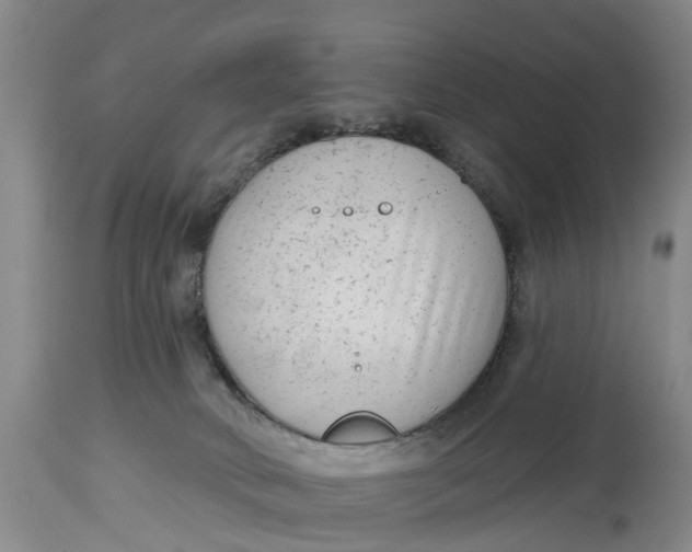 X0000114990034200911161524