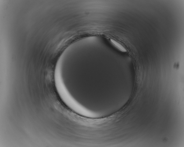 X0000114990035200911161524