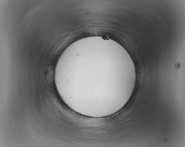 X0000114990036200911161524