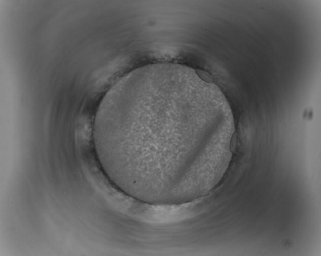 X0000114990037200911161524