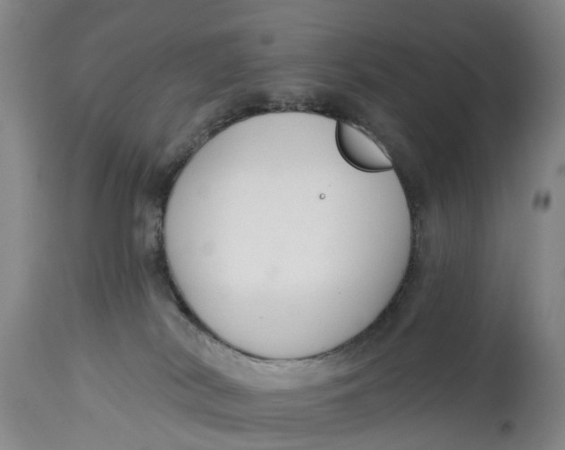 X0000114990038200911161524