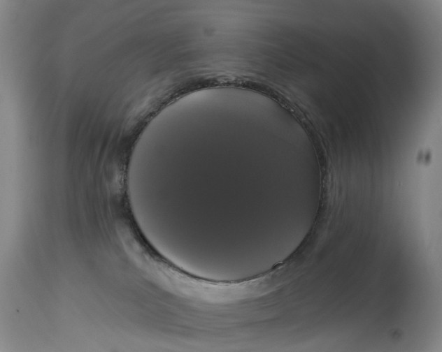 X0000114990039200911161524