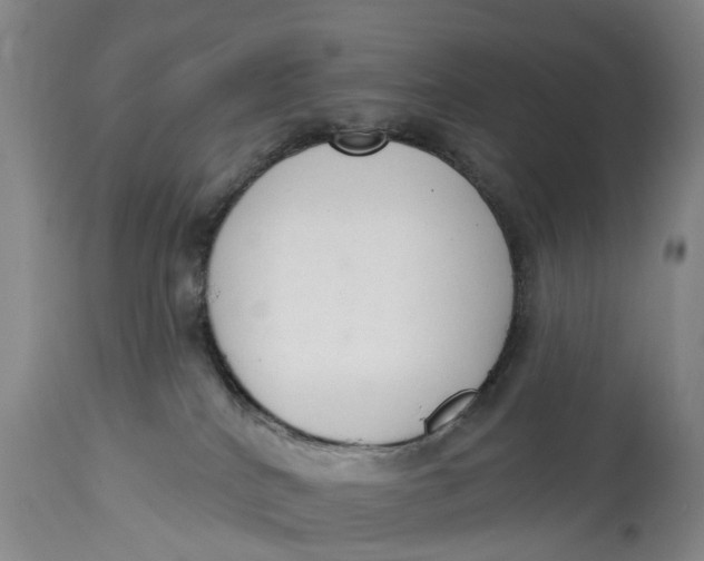 X0000114990040200911161524