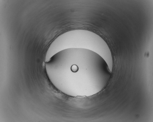 X0000114990041200911161524