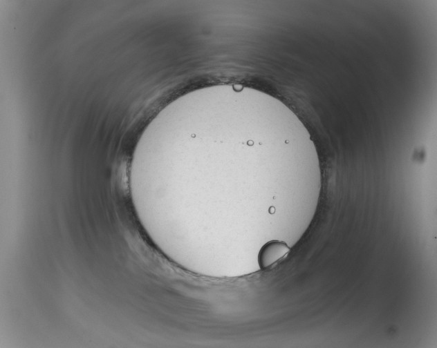 X0000114990042200911161524