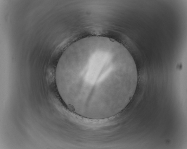 X0000114990043200911161524