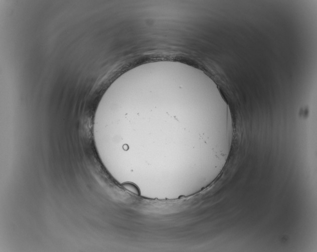 X0000114990045200911161524