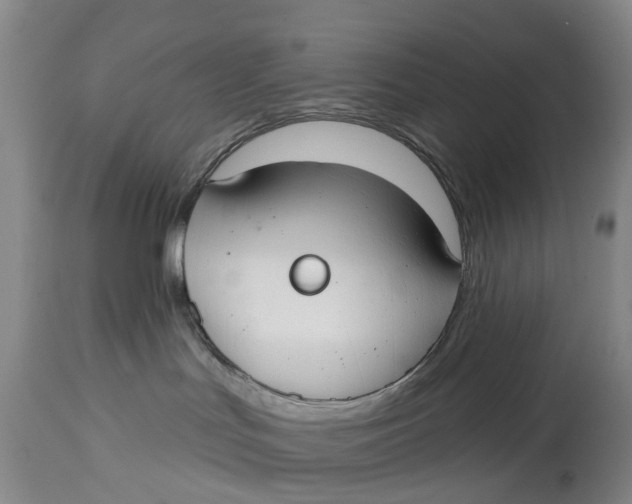 X0000114990047200911161524