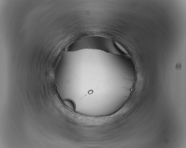 X0000114990048200911161524