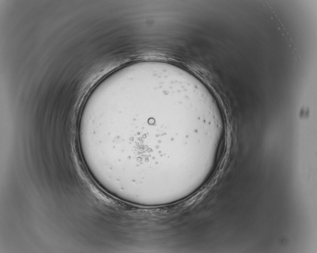 X0000114990049200911161523