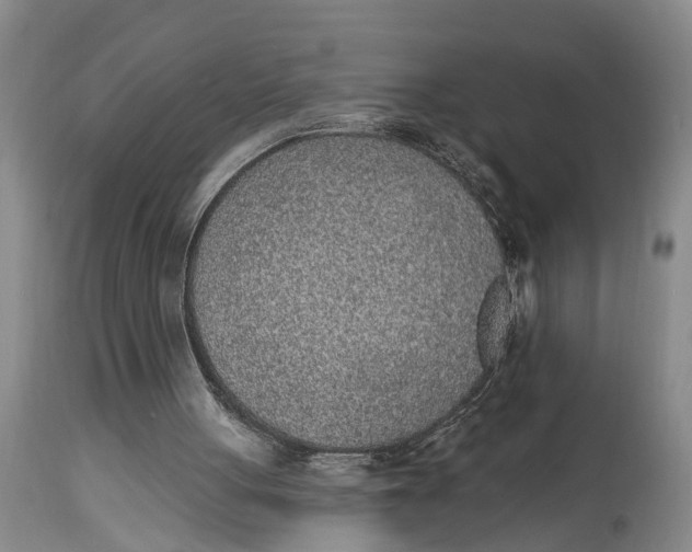 X0000114990051200911161523