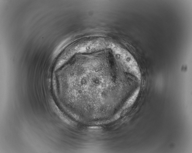 X0000114990053200911161523