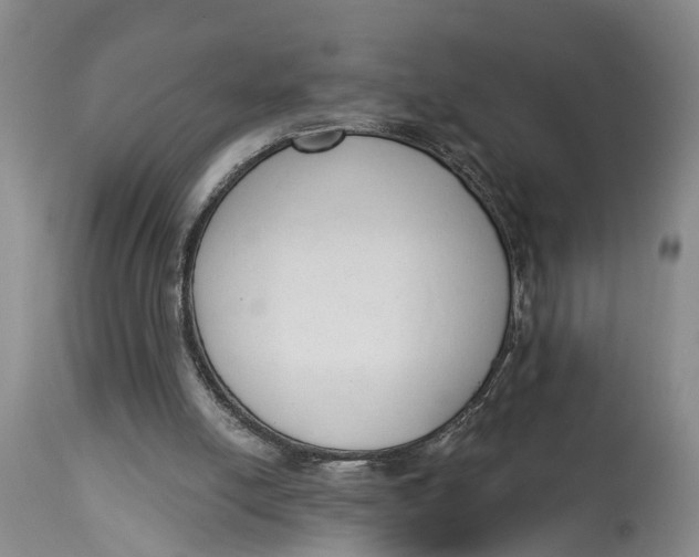 X0000114990054200911161523