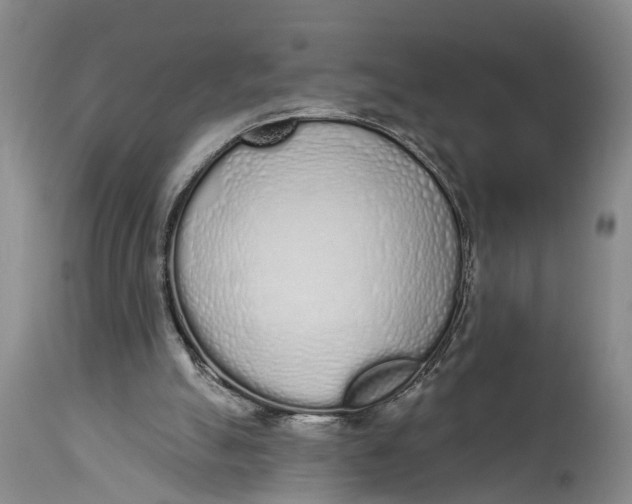 X0000114990055200911161523