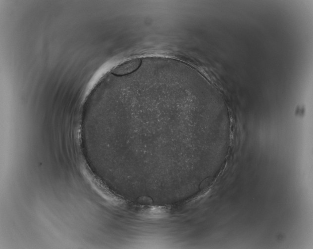 X0000114990056200911161523