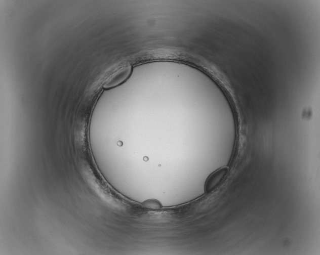 X0000114990057200911161523