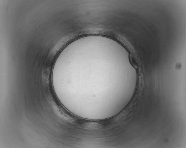 X0000114990058200911161523