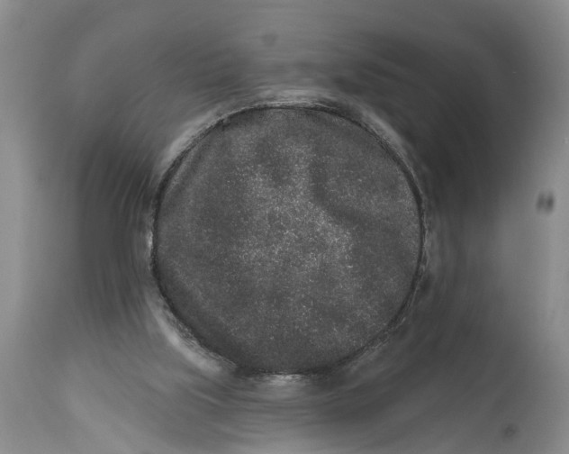 X0000114990059200911161523