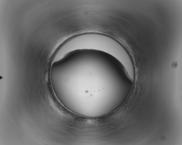 X0000114990060200911161523