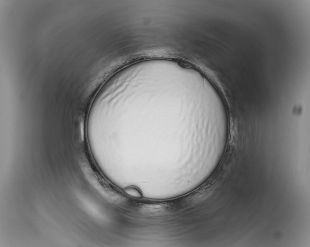 X0000114990061200911161523