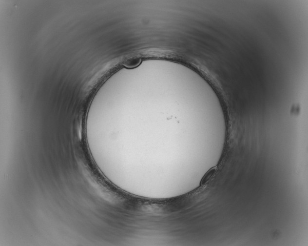 X0000114990062200911161523