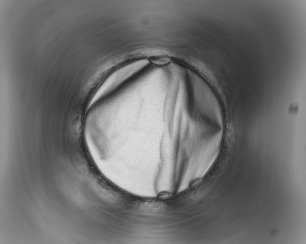 X0000114990063200911161523