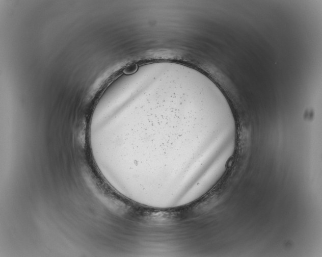 X0000114990064200911161523