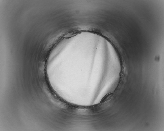 X0000114990066200911161523