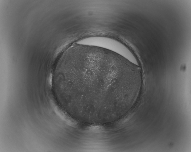 X0000114990067200911161523