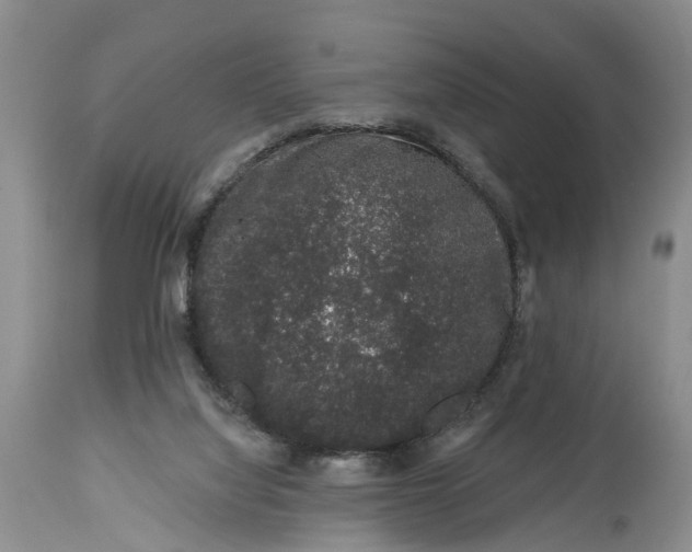 X0000114990068200911161523