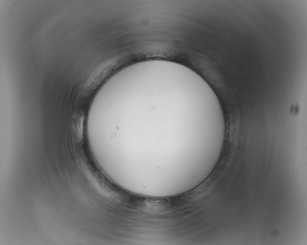 X0000114990070200911161523