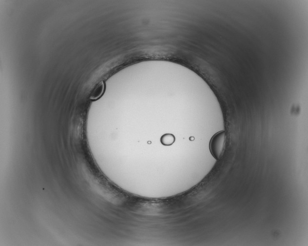 X0000114990071200911161523